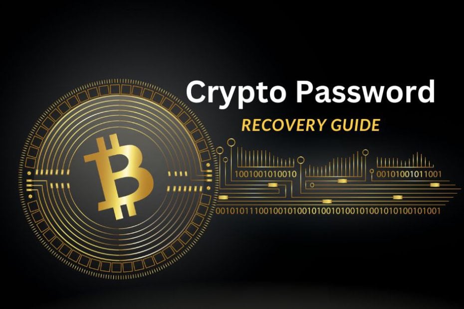 Your Guide to Recovering Your Crypto Wallet Password or Passphrase