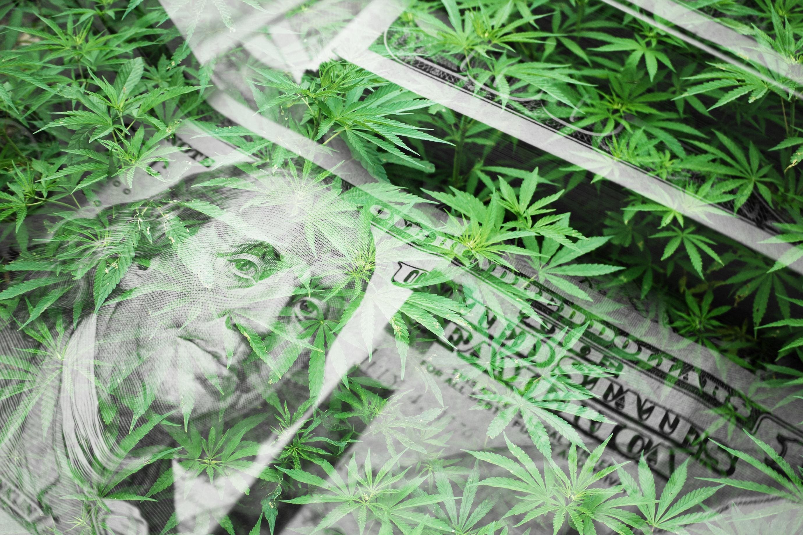 How to invest in marijuana stocks – Chicago Tribune