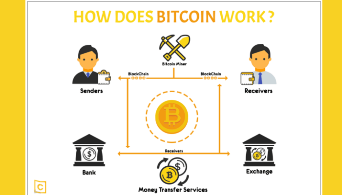 Bitcoin for Beginners: What You Need to Know about BTC - NerdWallet