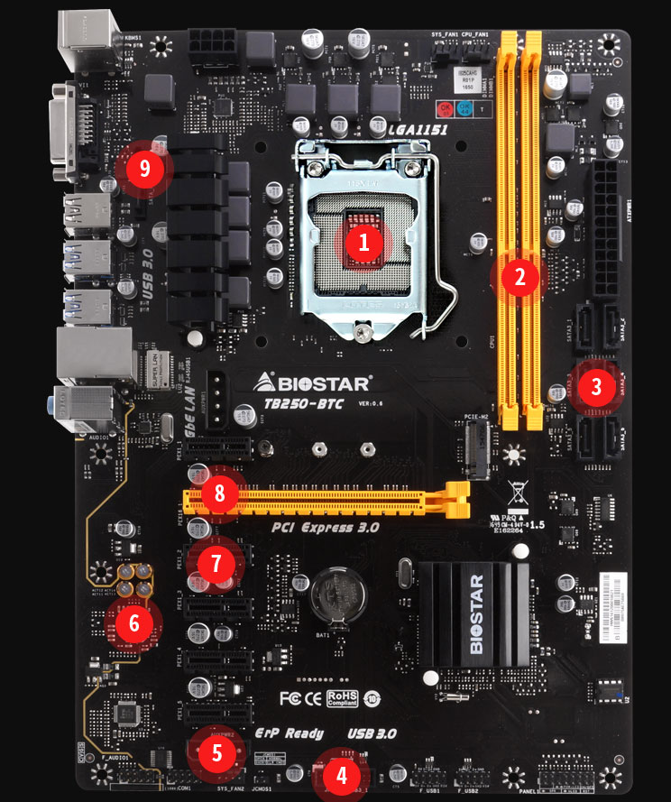 UserBenchmark: Biostar TBBTC PRO Compatible Builds