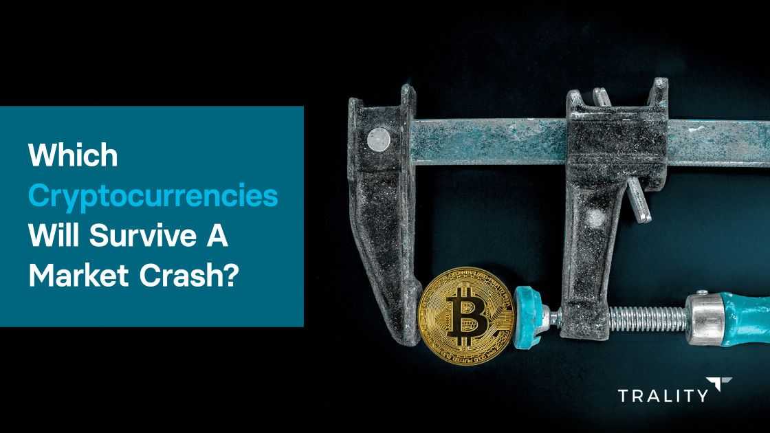 Which Cryptocurrencies Will Survive A Crash In The Markets?