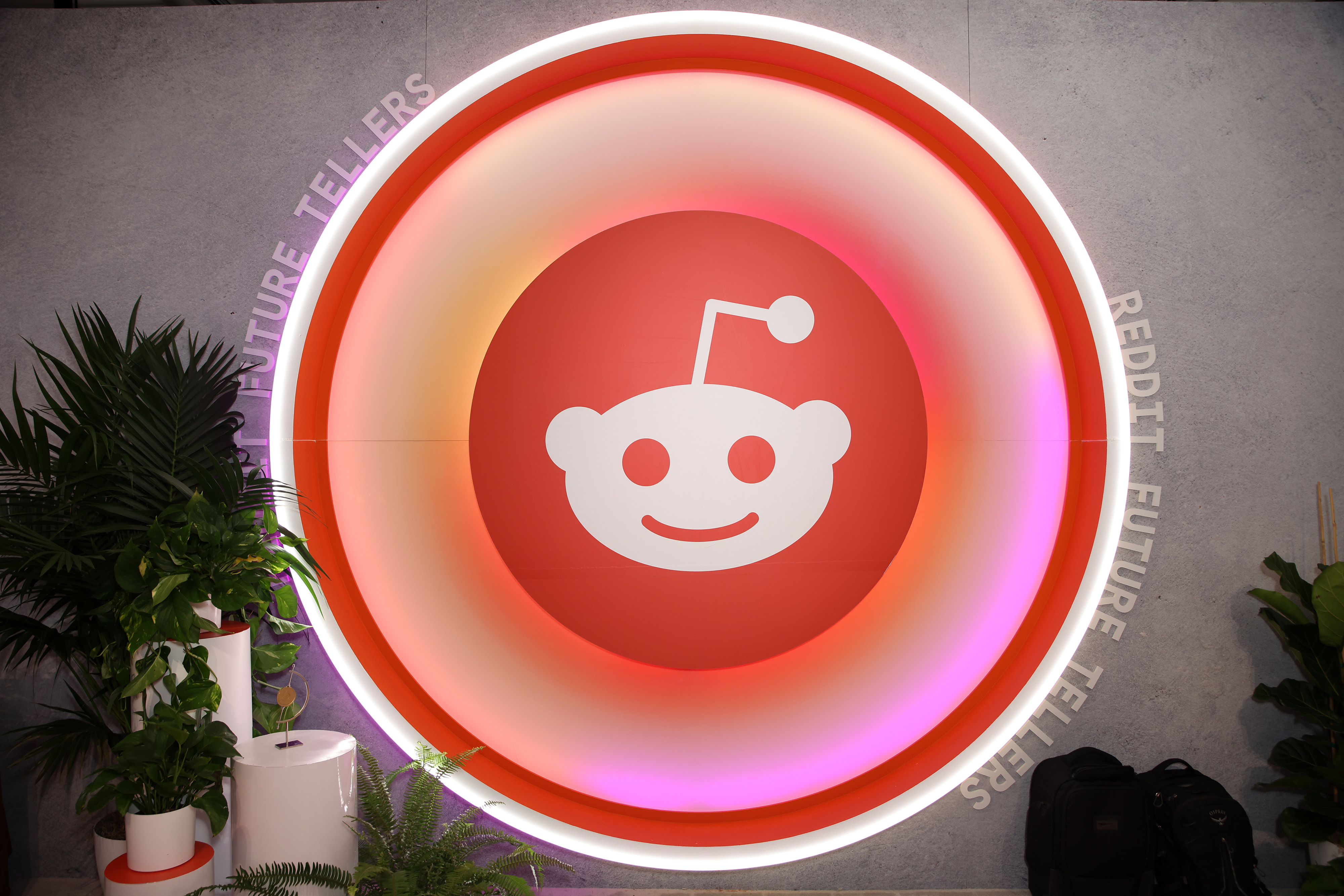 Reddit warns r/WallStreetBets subreddit could hit IPO, stock price