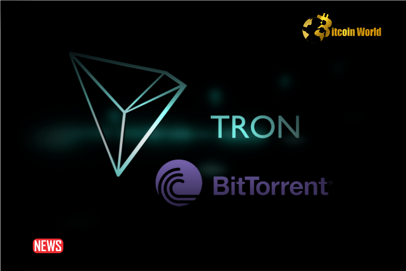 What Is TRON Coin Burn and How Is It Beneficial? | Kamcord