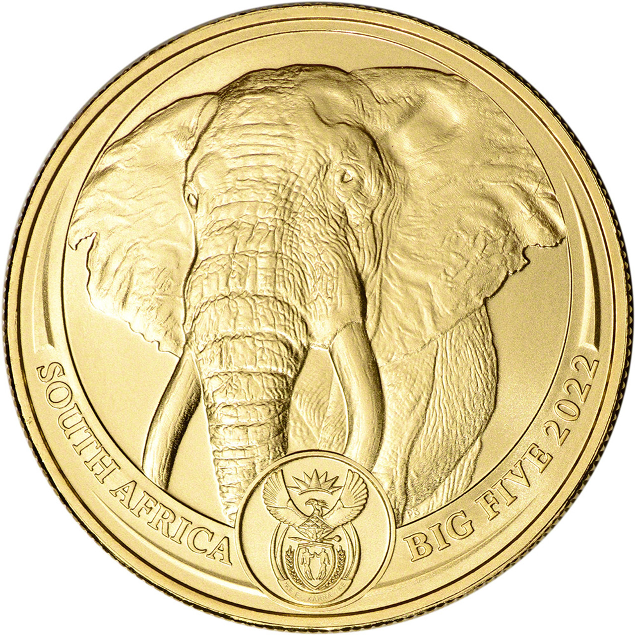 1 oz South African Big 5 Gold Elephant Coin | Texas Precious Metals