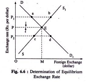 Exchange Rates and their Measurement | Explainer | Education | RBA