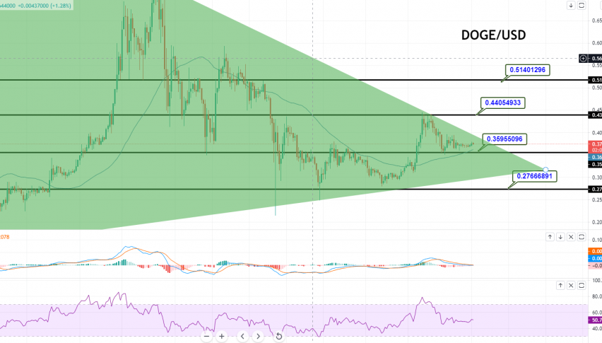 DOGE to USD - Find DOGECOIN Price in USD in India - Mudrex