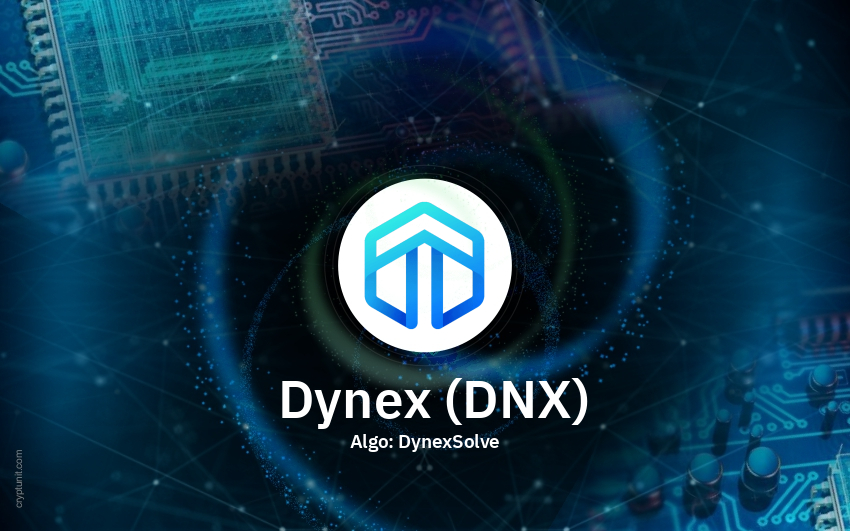 Dynex Mining Pool: 5 Best Dynex Pool To Mine Dynexcoin