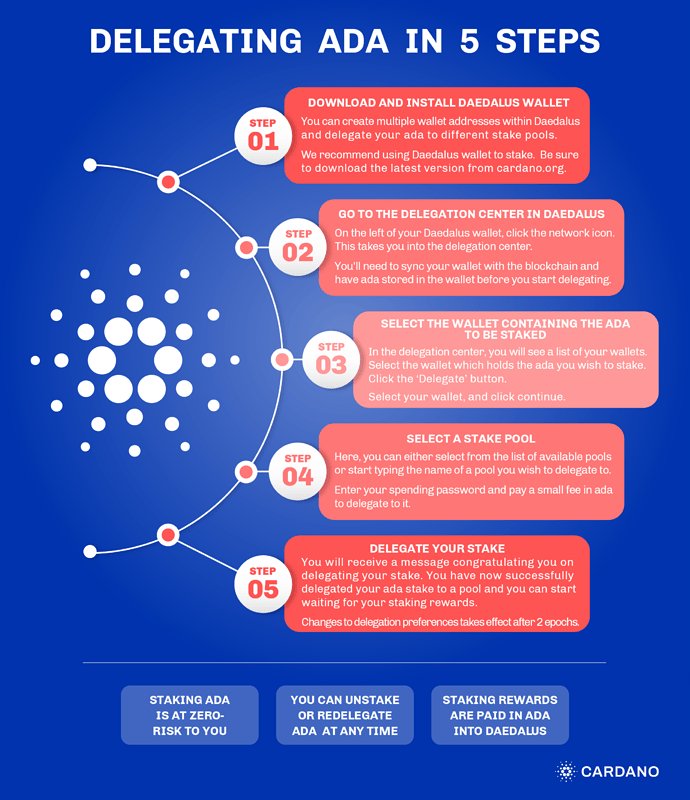 ADA Staking Pool Management For Beginners - Promoguy