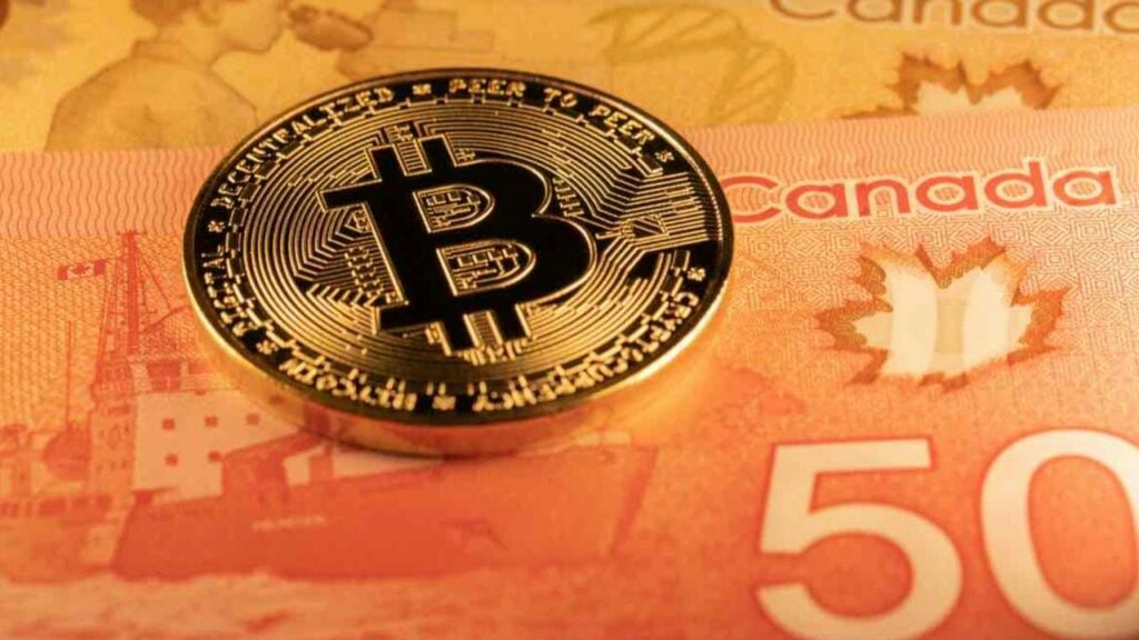 BTC in CAD Exchange Rates - Bitcoin Canadian Dollar Exchange Rates