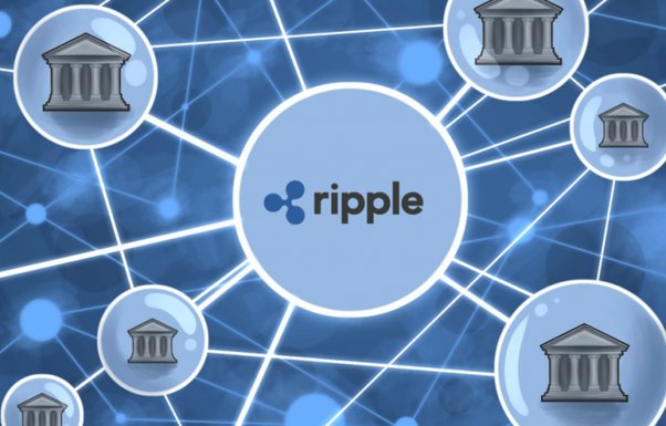 + companies and stores accepting XRP as a payment in Pay with XRP!