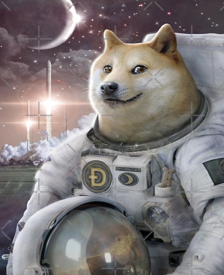 DOGE-1 Moon Mission Date Confirmed, SpaceX To Launch Next Year