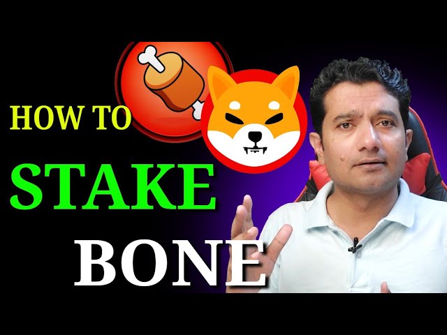 Bone ShibaSwap price today, BONE to USD live price, marketcap and chart | CoinMarketCap