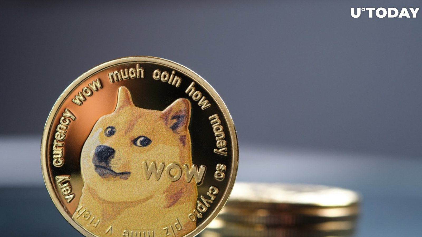 Why Bitcoin, Ethereum, and Dogecoin Rallied on Tuesday