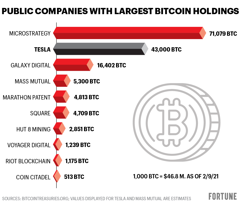 Who Owns the Most Bitcoin? Largest BTC Holders ()