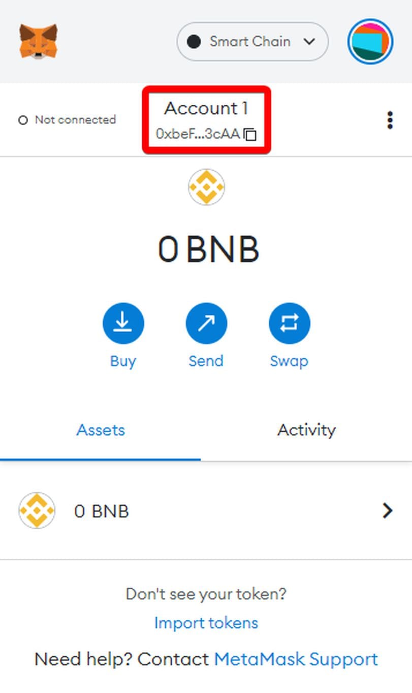 Add BNB Chain Testnet to MetaMask | 1001fish.ru