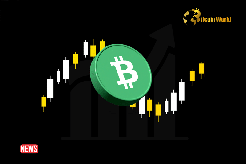 Bitcoin Cash (BCH) Price Prediction - 