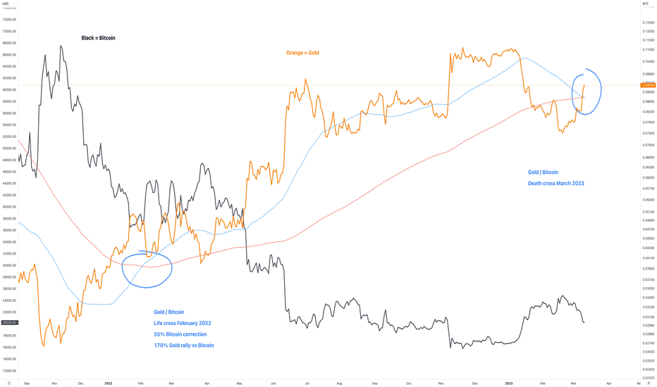 Comparing Gold Price & Bitcoin | Bitgild