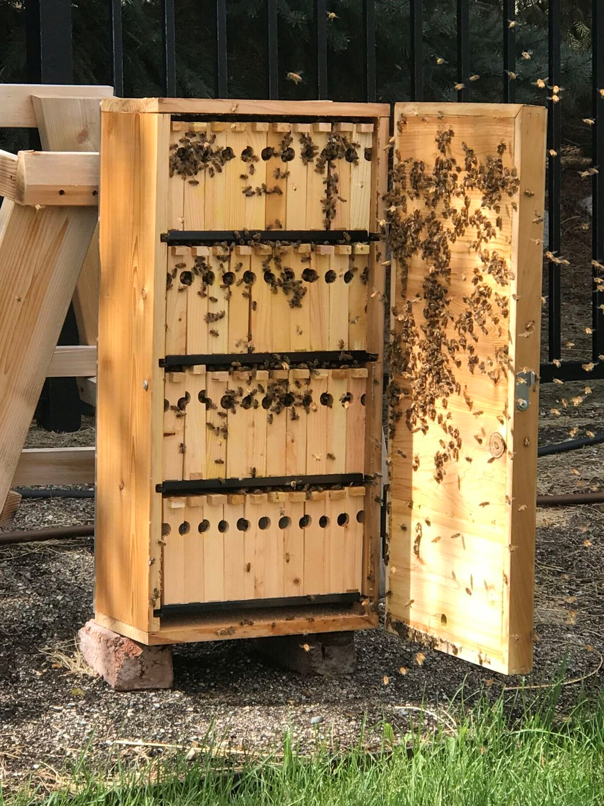 Unassembled Bee Boxes for Sale | Mann Lake Bee & Ag Supply