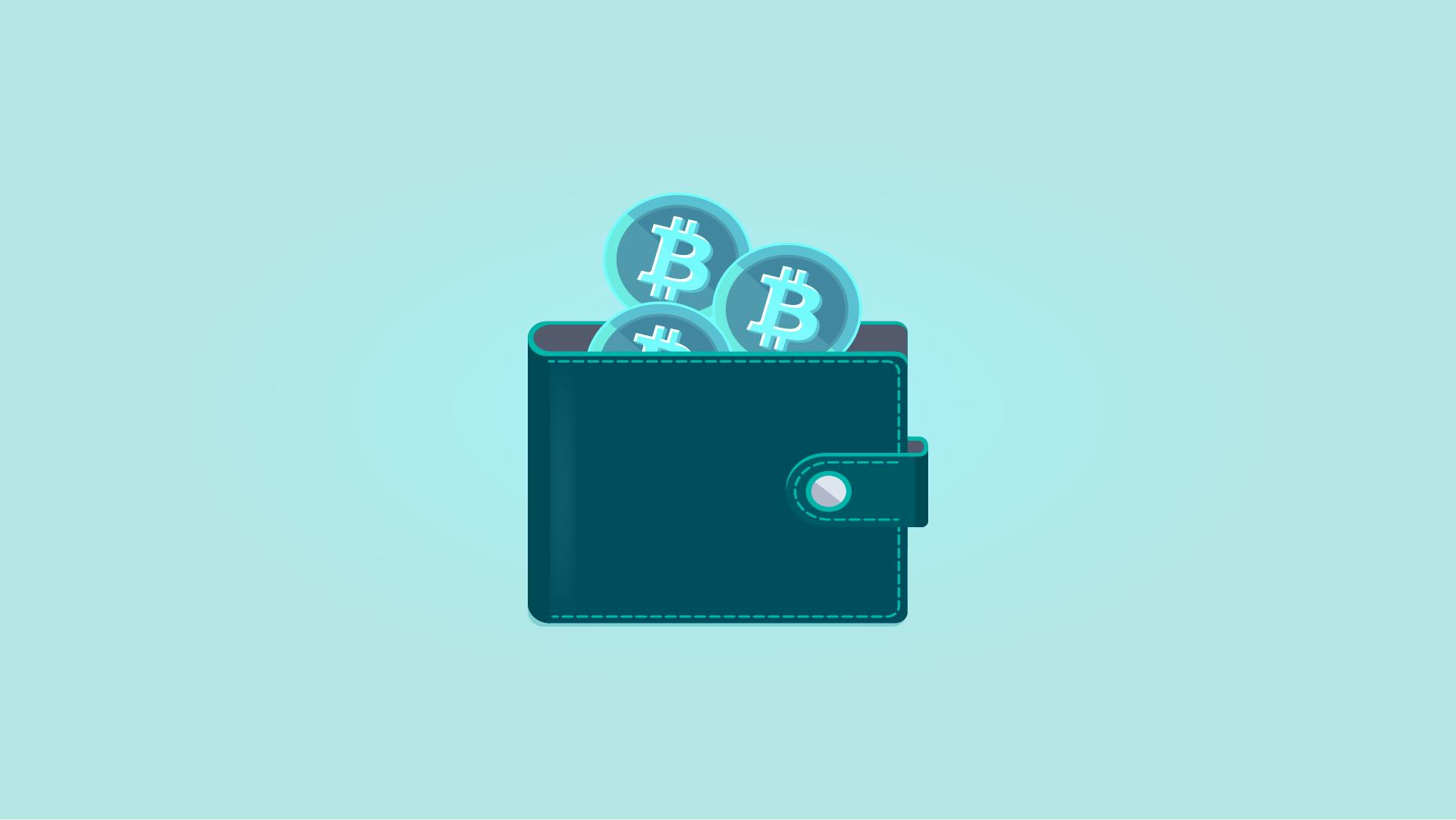 Best bitcoin and crypto wallets for March 