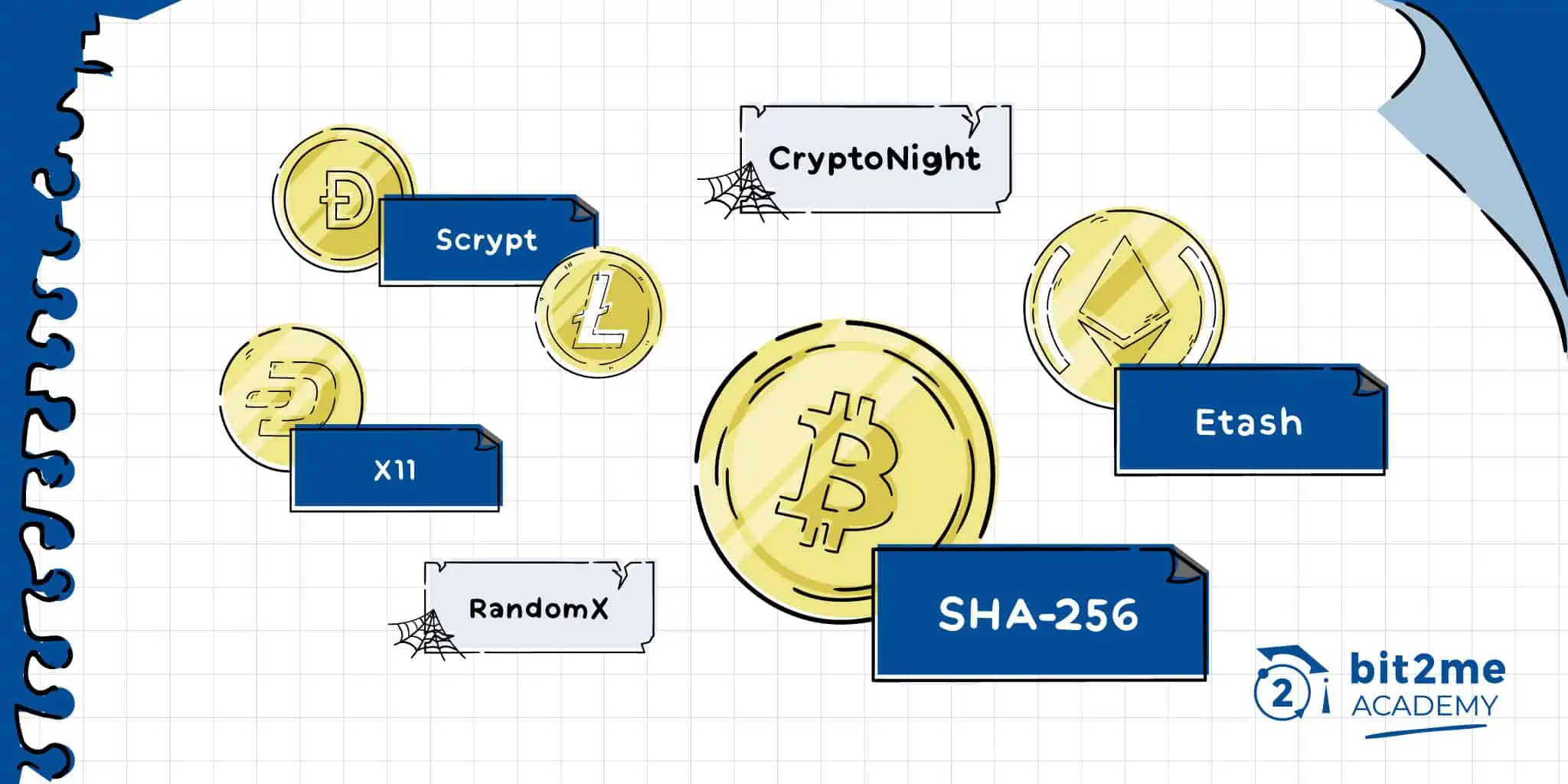 Best Dash Pools: Complete List | What You Need to Know