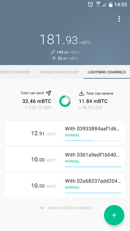 BLW: Bitcoin and Lightning Wallet