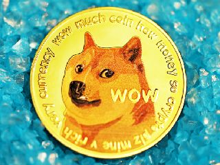 Elon Musk To Send Dogecoin Skyrocketing. Literally!