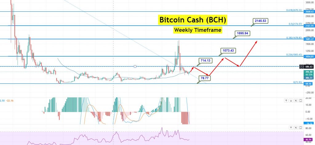 Bitcoin Cash treading a rocky path following first halving e