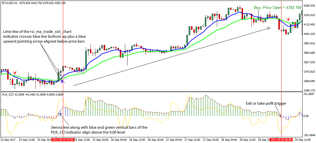 Crypto Compare Indicator - Blackwell Global