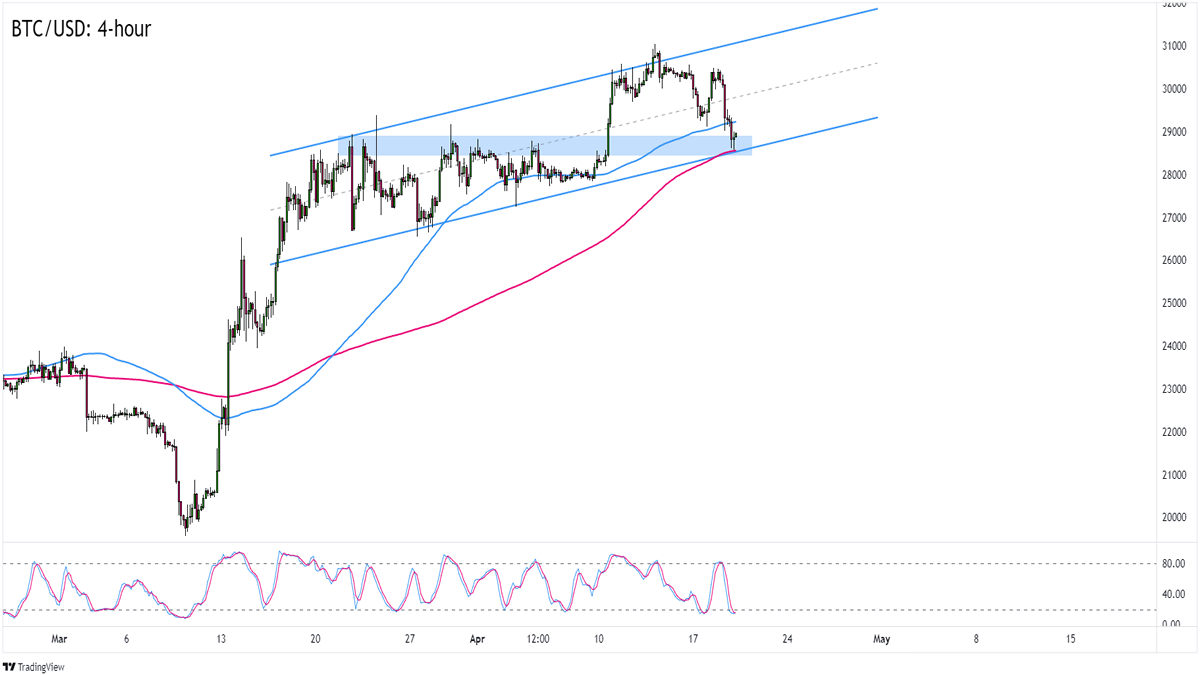 Bitcoin to NZ Dollar (BTC in NZD)- BitcoinsPrice