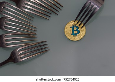 Bitcoin Fork Guide: History and Upcoming Bitcoin Forks