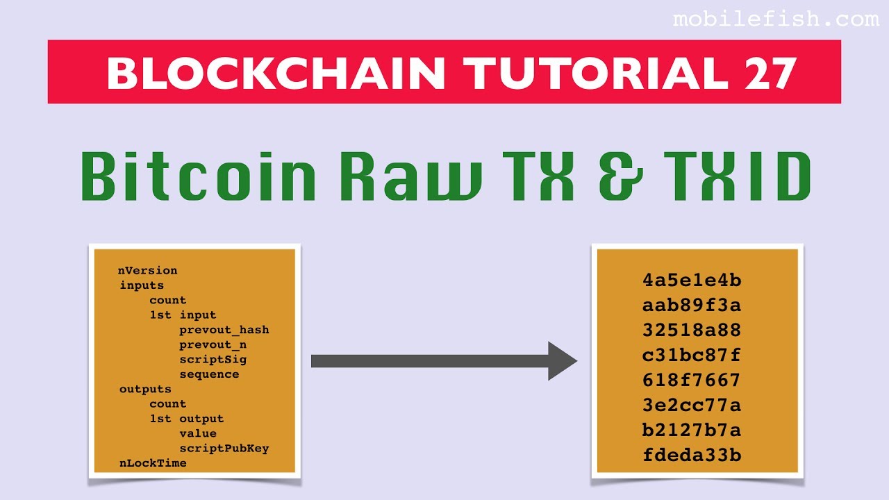 What Is A Transaction Hash? Is It Safe To Provide Transaction Hash? - 1001fish.ru