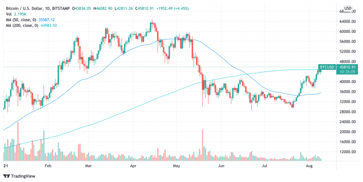 Live Bitcoin Price: BTC USD Chart - CryptoPurview