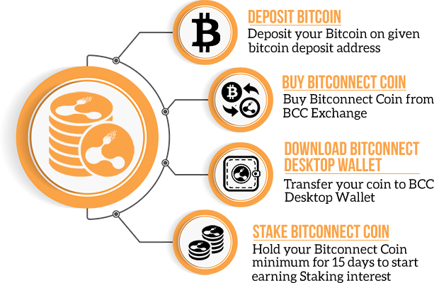 U.S. SEC charges BitConnect founder with $2 bln cryptocurrency fraud | Reuters