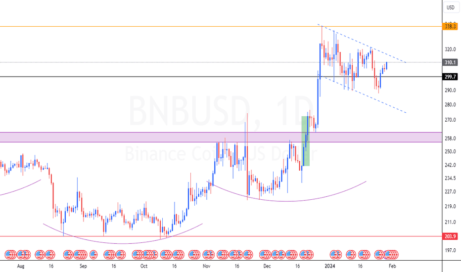 Binance Coin / Tether Price Chart — BNBUSDT — TradingView — India