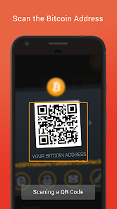 Bitcoin Address | Wallet Lookup - Blockonomics