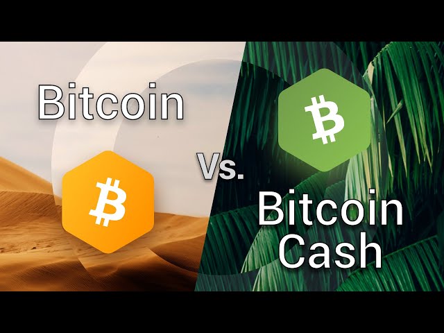 What Is Bitcoin Cash (BCH), and How Does It Work?