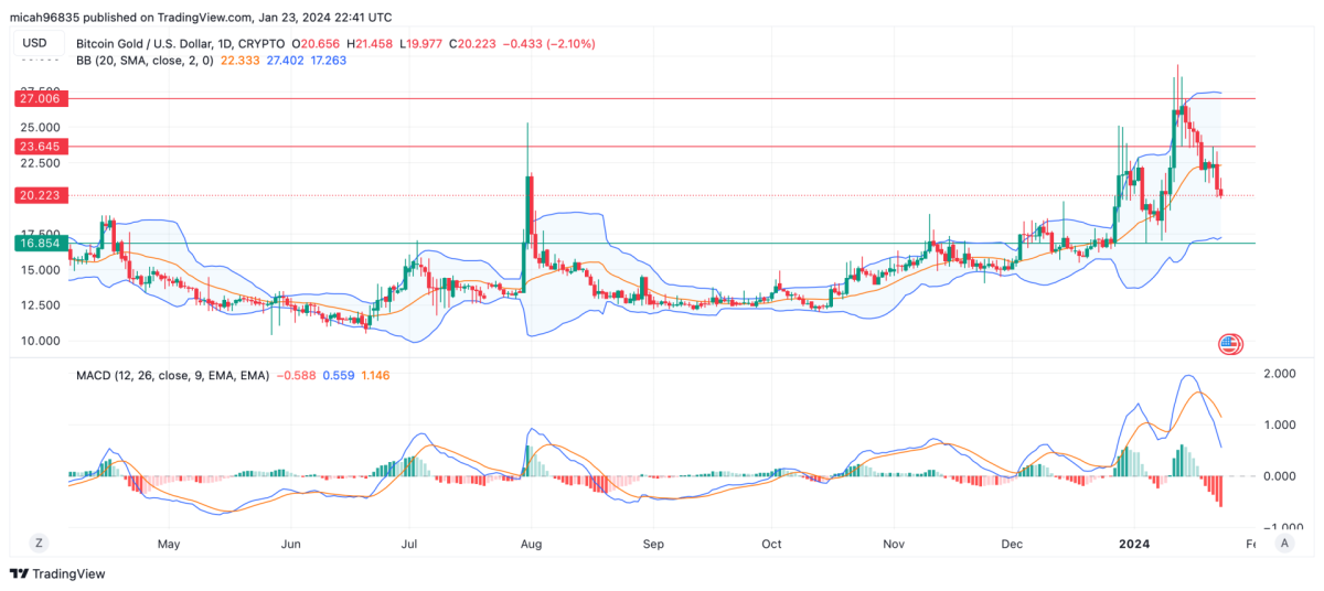 BITCOIN GOLD PRICE PREDICTION - - 