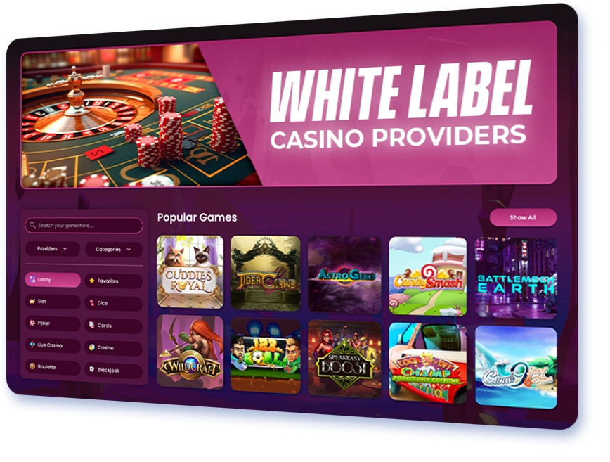 White Label Online Casino Software | SoftGamings