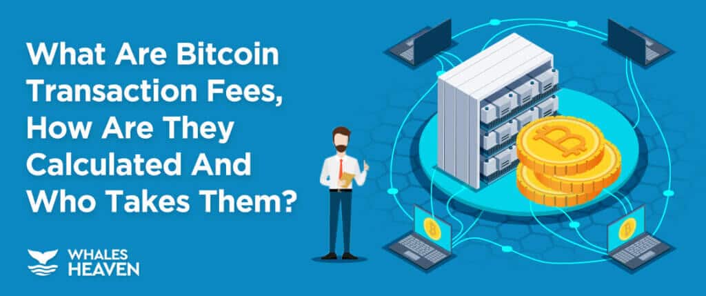 Bitcoin Fees Spike to 2-Year High - Learn Why | Speed