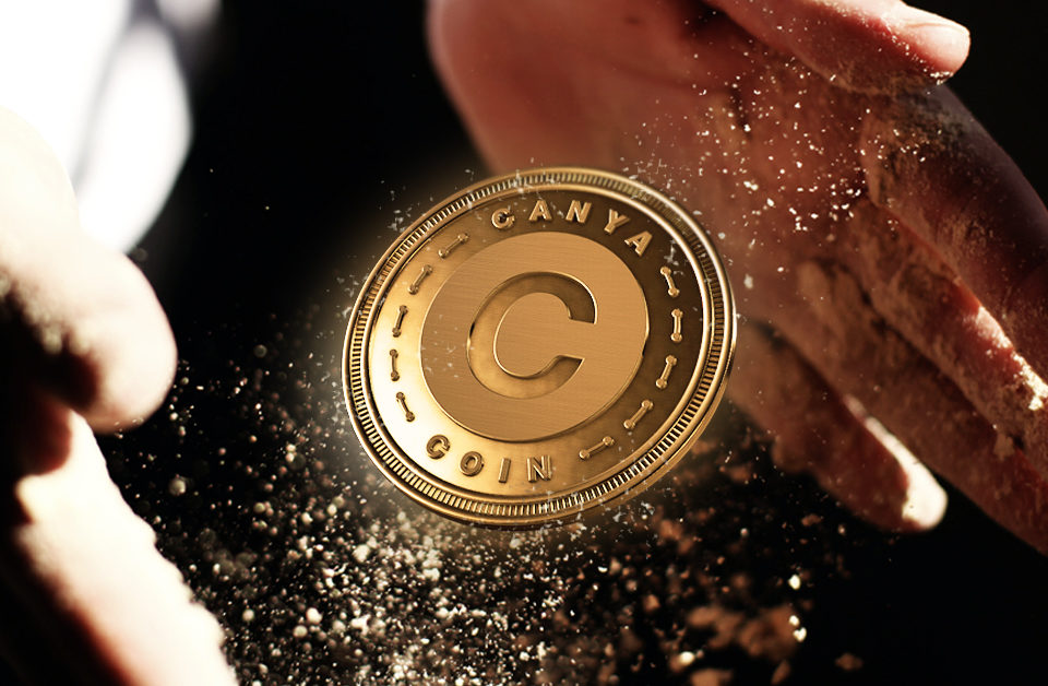 CanYa’s gig economy marketplace will disrupt the disruptors – CryptoNinjas