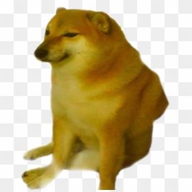 Doge but PNG Meme Generator - Imgflip