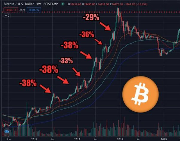 Is bitcoin going to crash again? - Times Money Mentor