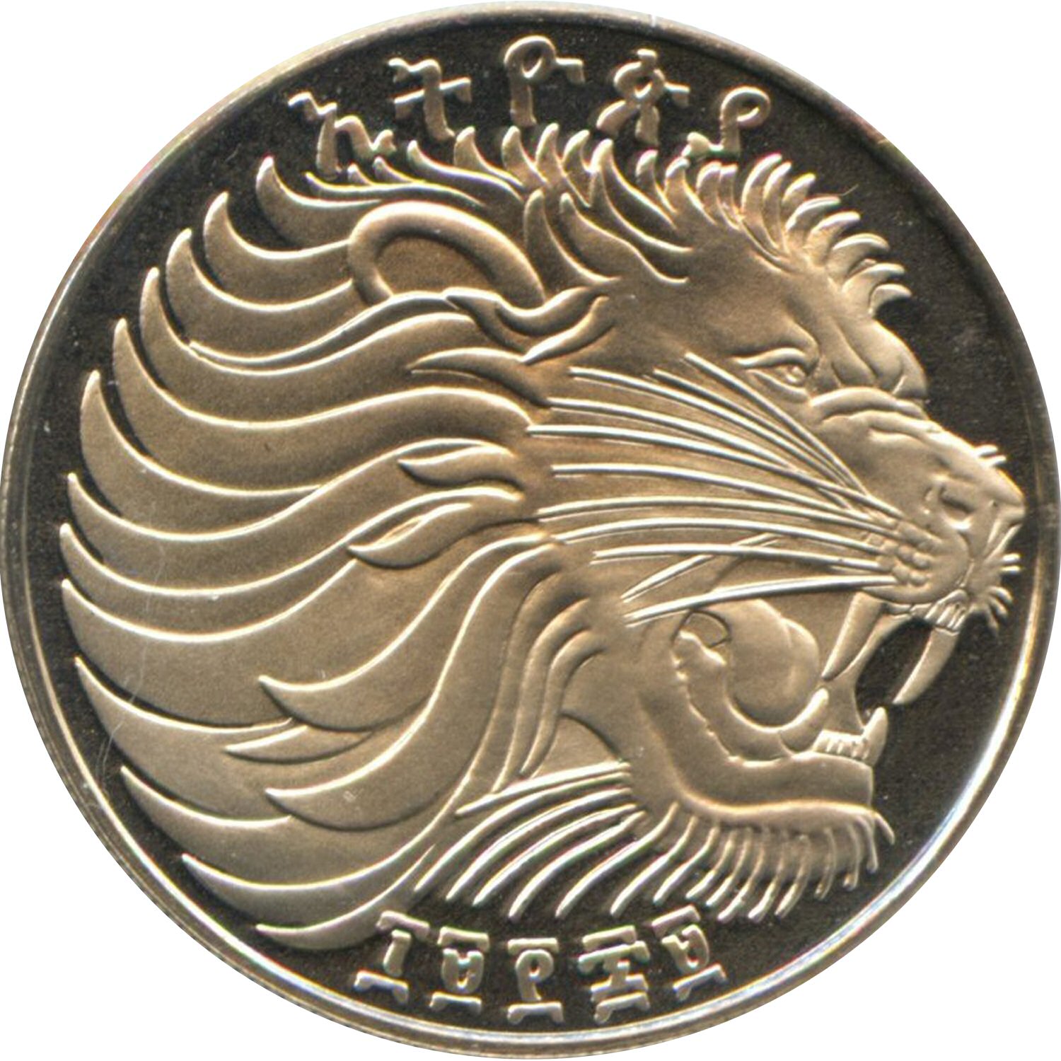 Men's Ancient, Authentic Lion Coin Ring – Jorge Adeler