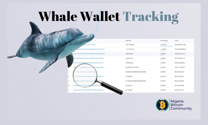 Which Is The Best Crypto Whale Tracker? Why Are They Crucial? - WazirX Blog