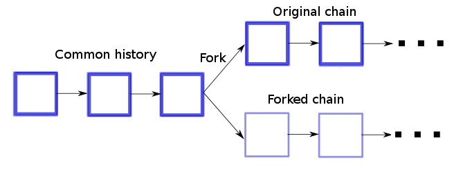 All Bitcoin Forked Coins List With Dates & Tips To Claim Them