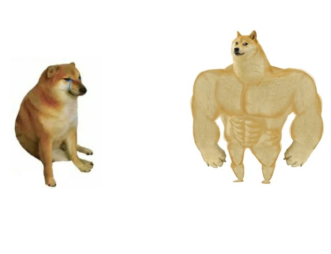 doge then and now Meme Generator - Imgflip