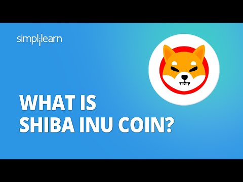 How much is Shiba Inu coin right now and does Shiba Inu have a future? - 1001fish.ru