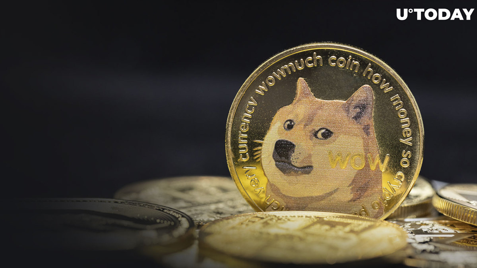 The Power of the Doge Army: How Dogecoin's Community Drives its Success - FasterCapital