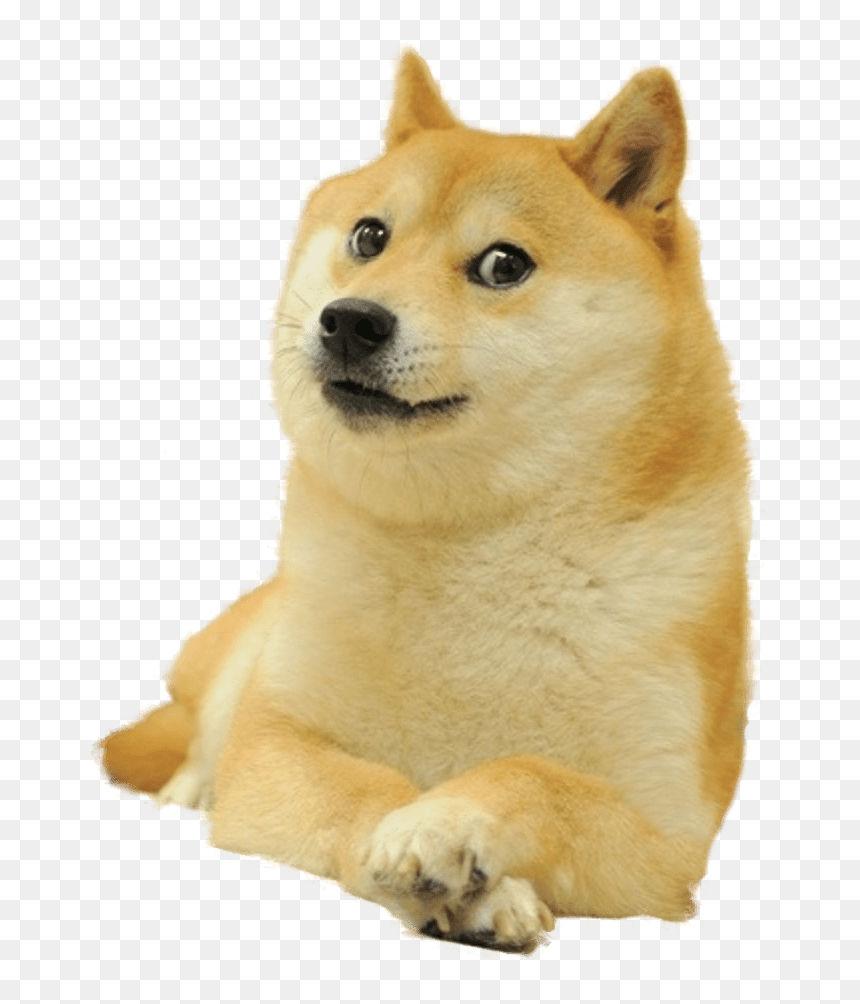 kid doge png Meme Generator - Imgflip