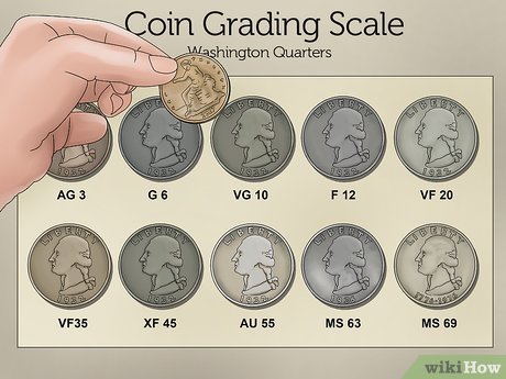 Coin Grading in the US | 1001fish.ru